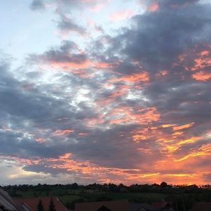 Meet your Posher, Joel